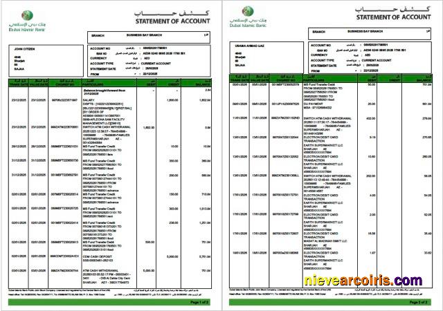 UAE Dubai Islamic Bank statement of account Word and PDF, 2 pages